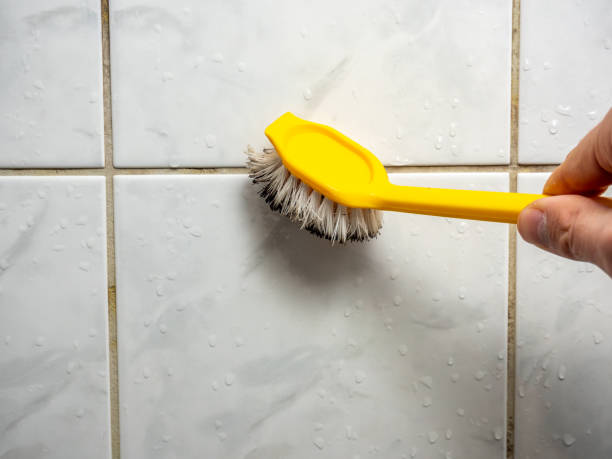 Best Mold Removal Near Me  in Emerd Mountain, AL