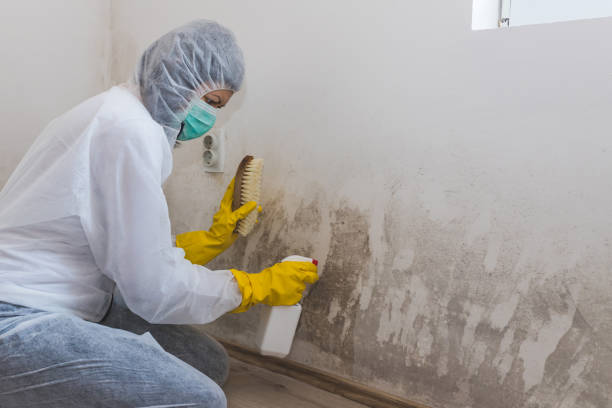 Water Damage Restoration in Emerald Mountain, AL