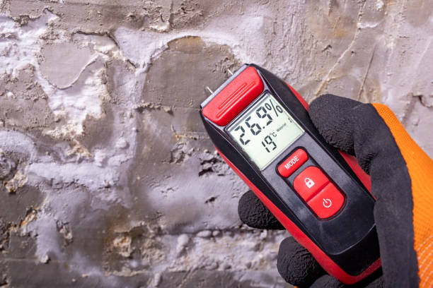 Best Affordable Mold Removal  in Emerd Mountain, AL