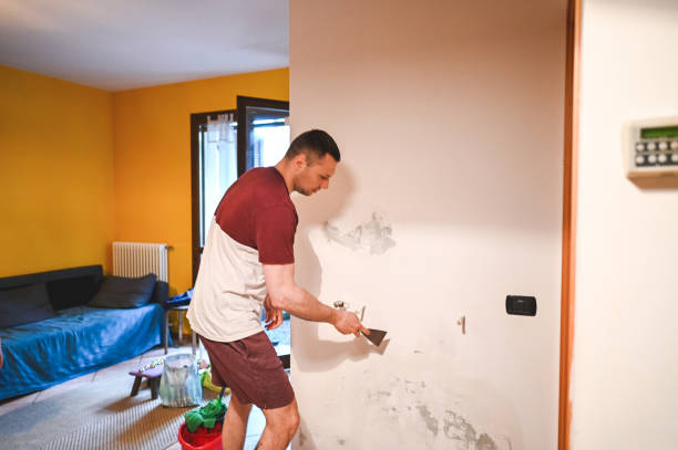 Best Local Mold Removal Service  in Emerd Mountain, AL